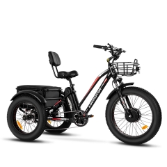 TRIKETAN M-350 Electric Trike - Black