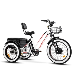 TRIKETAN M-350 Electric Trike - Pearl White