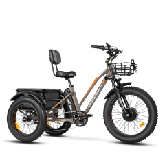TRIKETAN M-350 Electric Trike - Ash Grey