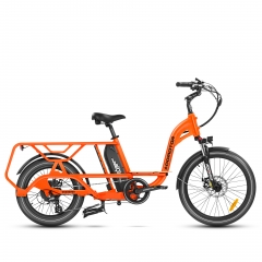 Graoopro Cargo eBike