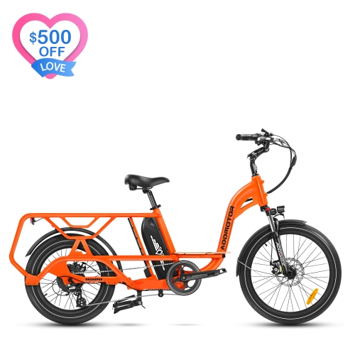 Graoopro Cargo eBike