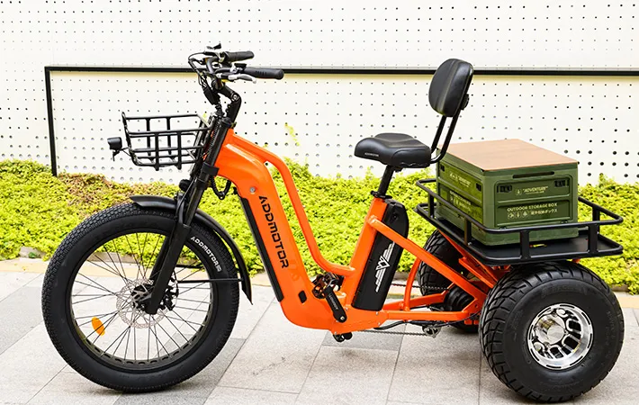 3 wheeler cargo electric bike