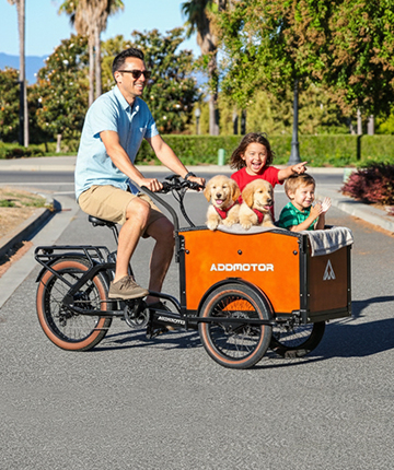 Electric Cargo Bike