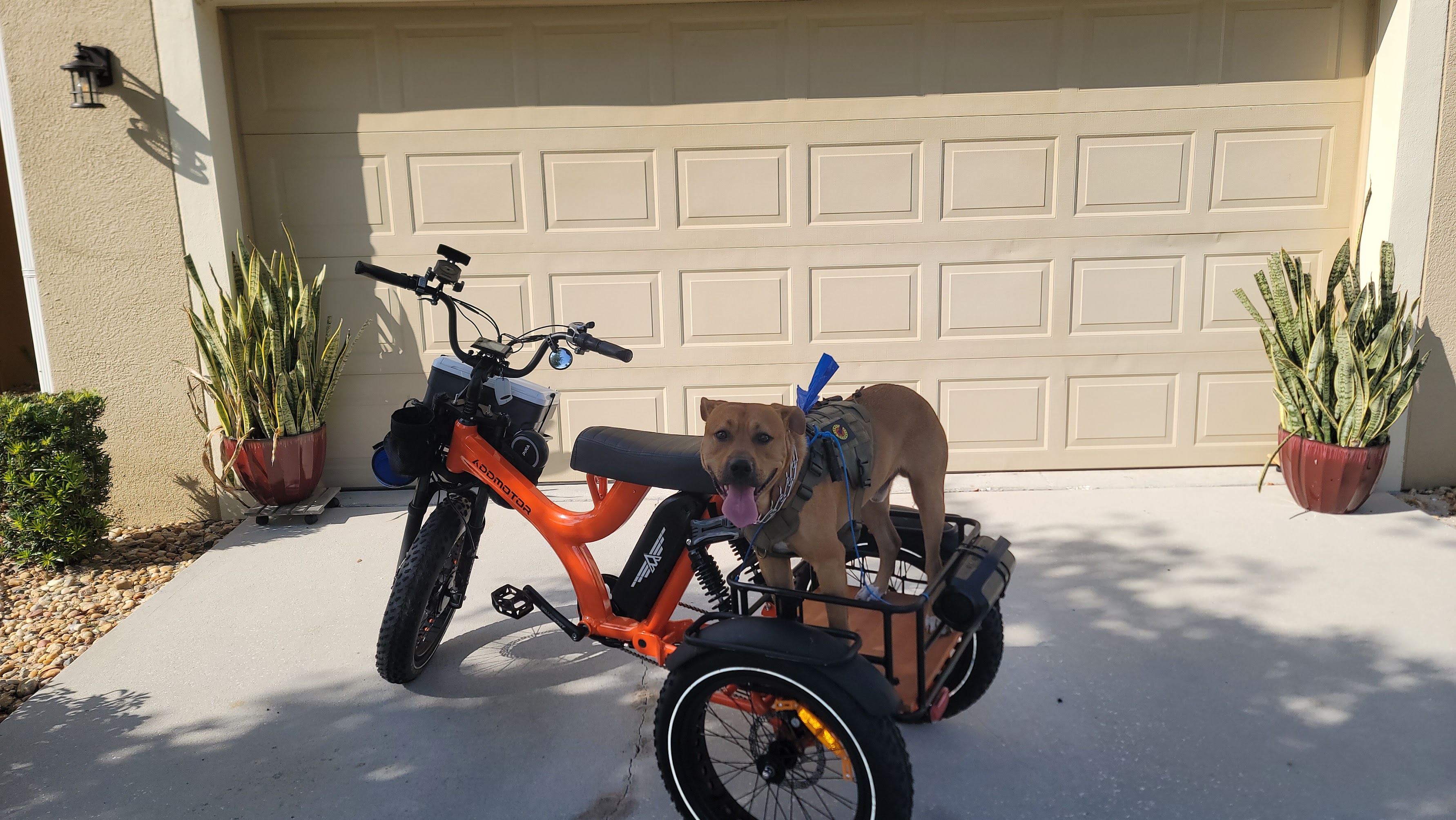 Real photos from customer reviews